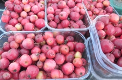 Market Stall